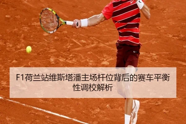 he-lan-zhan-wei-si-ta-pan-zhu-chang-gan-wei-bei-hou-de-sai-che-ping-heng-xing-diao-xiao-jie-xi-2-784.jpg