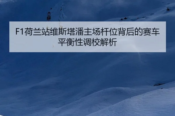 he-lan-zhan-wei-si-ta-pan-zhu-chang-gan-wei-bei-hou-de-sai-che-ping-heng-xing-diao-xiao-jie-xi-3-694.jpg