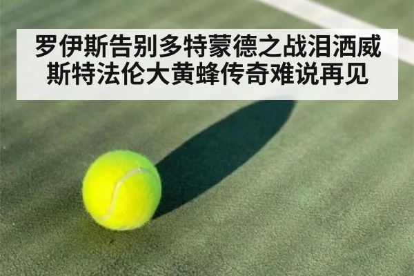 罗伊斯告别多特蒙德之战泪洒威斯特法伦大黄蜂传奇难说再见