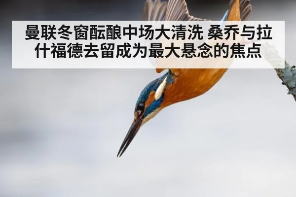 曼联冬窗酝酿中场大清洗 桑乔与拉什福德去留成为最大悬念的焦点